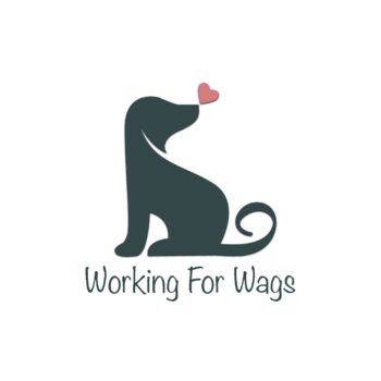 329166218_1844796569230505_7664698426461968260_n working for wags logo image