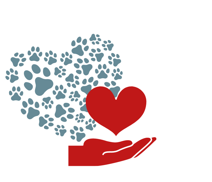heart, paws, and hand image